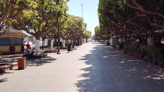 COUR DE LA RÉVOLUTION ANNABA