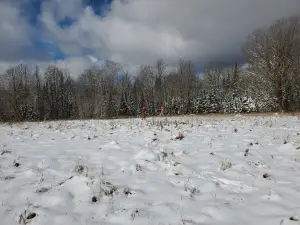 Bader's Pheasant Run