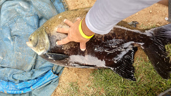 Fishing Paradise Fishing