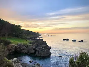 Çamlık