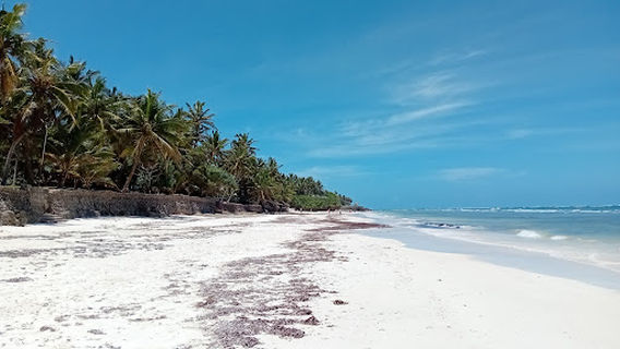 Mwachema river Diani