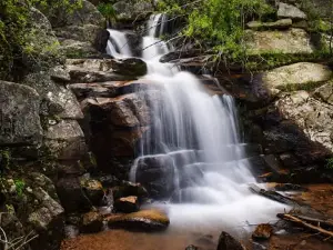 Maxwell Falls Lower Trail