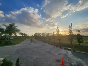 Guerra Central Park