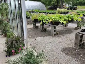 Glass-N-Greens