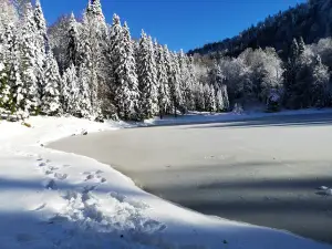 Torkul Gölü