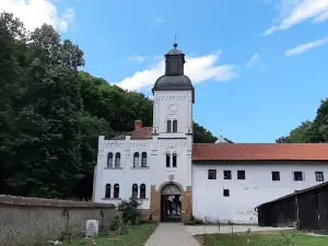 Vraćevšnica manastir