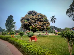 Lohia Park