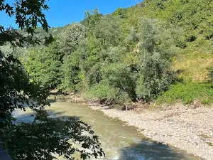 Büyükmelen Stream