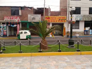 Eduardo Perez Plaza Gamboa