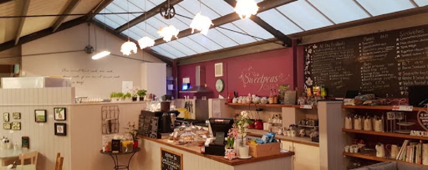 Haslemere Garden Centre