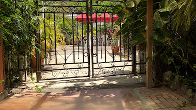 The Little Well Oasis