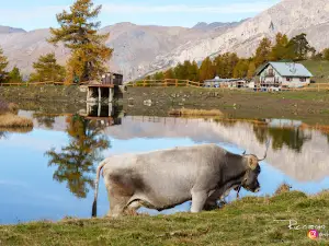 Lago Laune