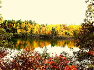 Scenic View Campground