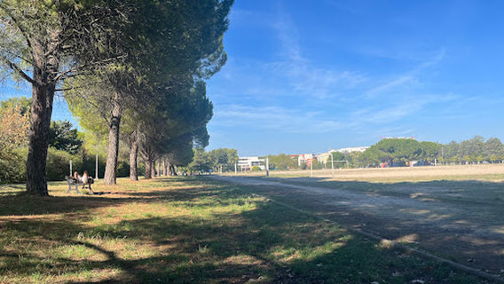 Montpellier