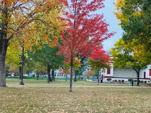 Central Park