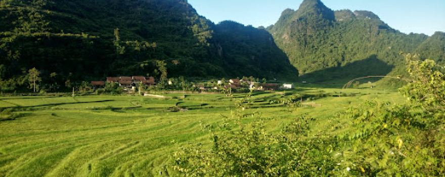 Thôn Bồng Sơn