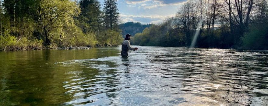 GO FLY FISHING Slovenia, Guide service, Krka Mayfly Fishing lodge