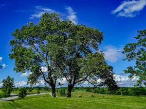 Platte Ridge Park