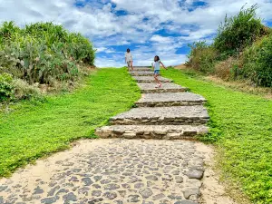 Cảnh Phim Hoa Vàng Trên Cỏ Xanh