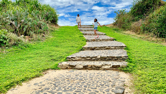 Cảnh Phim Hoa Vàng Trên Cỏ Xanh