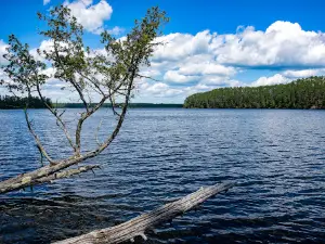 Chase Point Campground