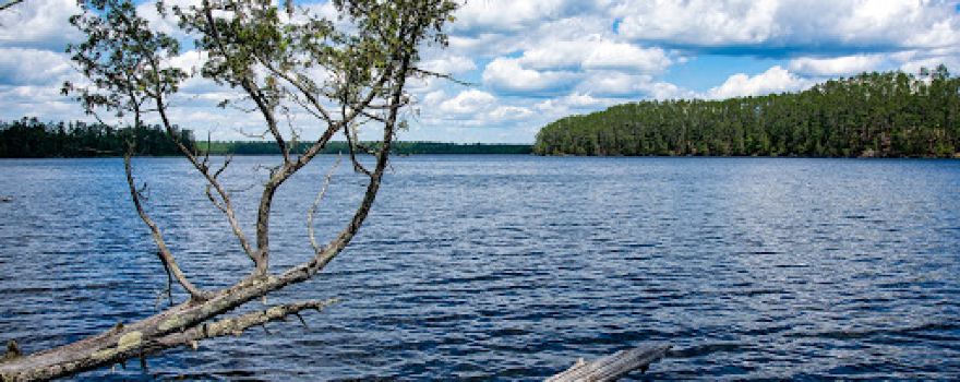 Chase Point Campground