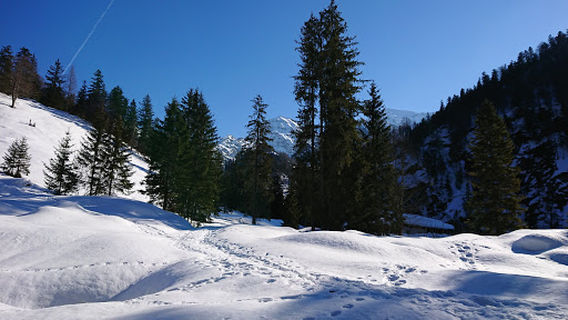 Schwarzachenalmen - Plenkhof