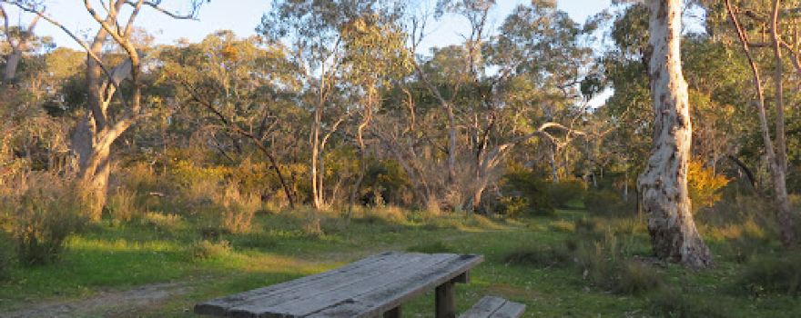 Jenkins scrub walking trail