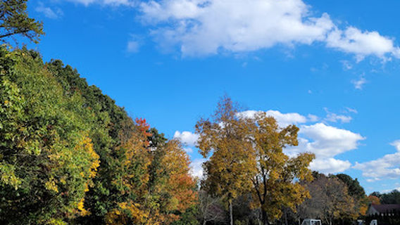 Buckingham Park Soccer Fields