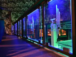 3Plex Club Trenčín