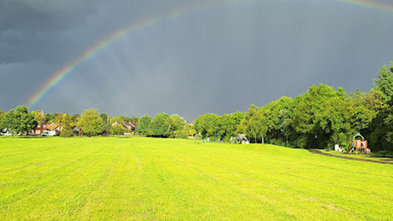 Waveney Green Park and Play Area