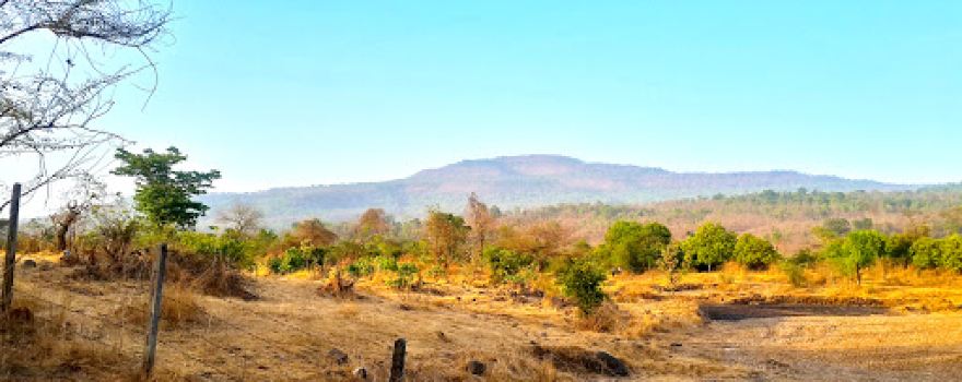 Gayatri Compound