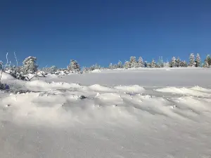 DSV Nordic Active Center Kniebis / Freudenstadt