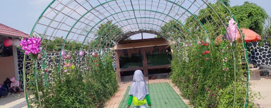 Kolam Renang Rawa Sikut