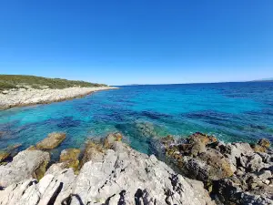 Premuda