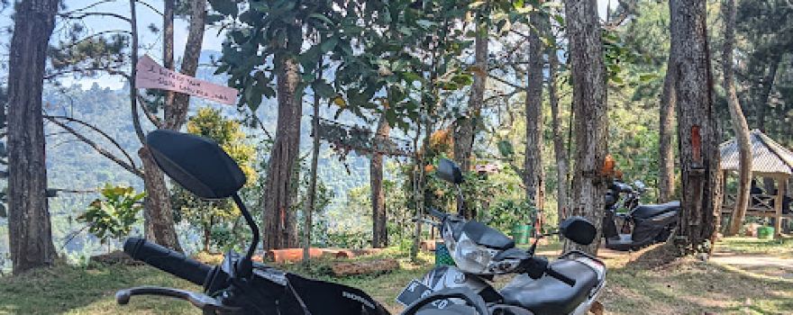 Hutan Pinus Gunungsari