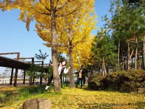 Expo Park