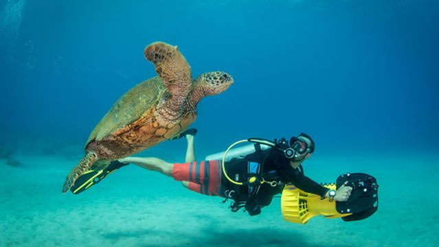 Dive Kauai Scuba Center - Shop
