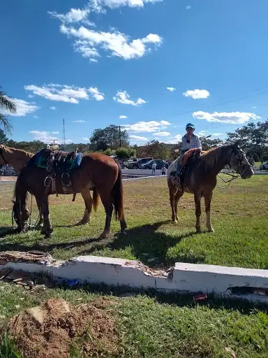 Moiporá - Goiás