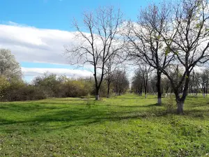 Ореховая Роща