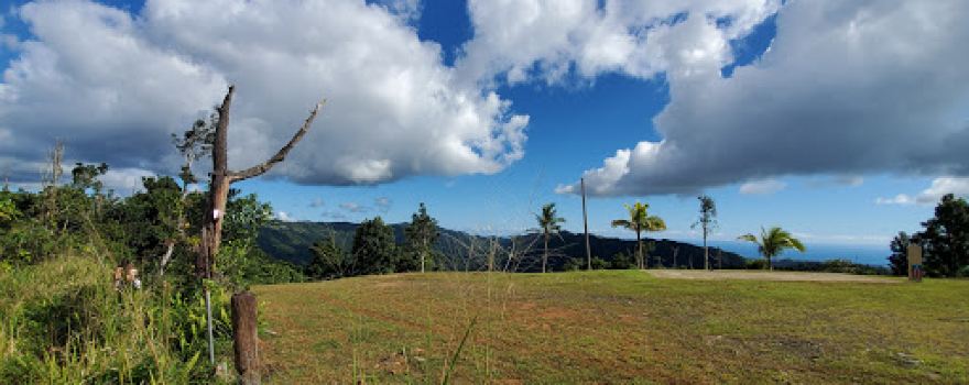 Parking Bosque de los Pinos