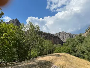 Font de la Figuereta