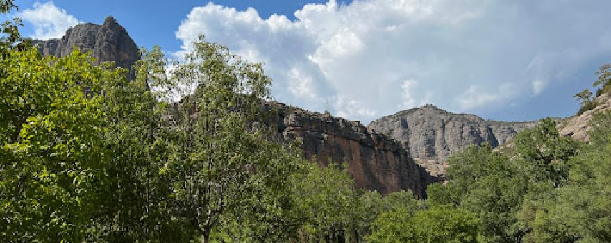 Font de la Figuereta