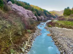 Hanamomo-no-Sato Peach Blossom Village
