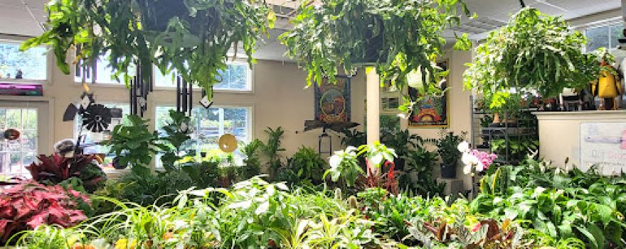 Millwood Garden Center