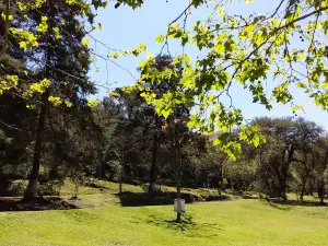 Parque da Gruta Nossa Senhora Imaculada Conceição