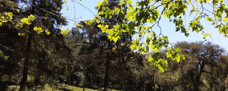 Parque da Gruta Nossa Senhora Imaculada Conceição