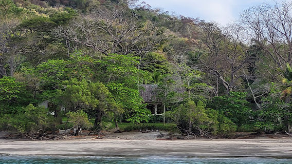 Tamarindo