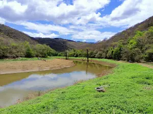 Presa Jalpan