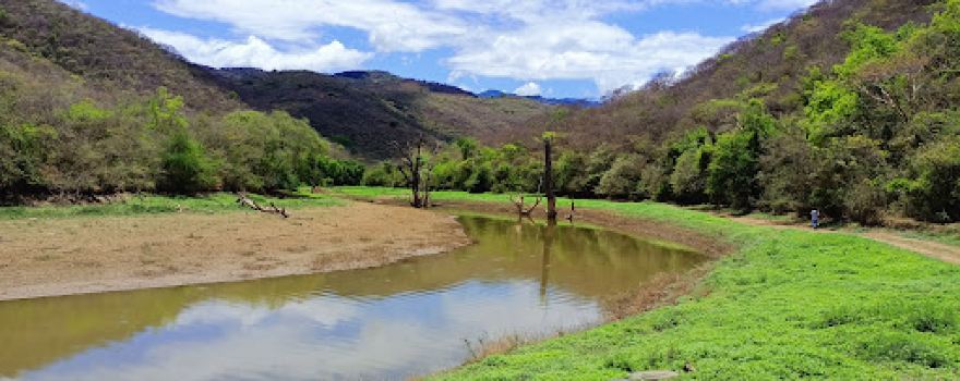 Presa Jalpan